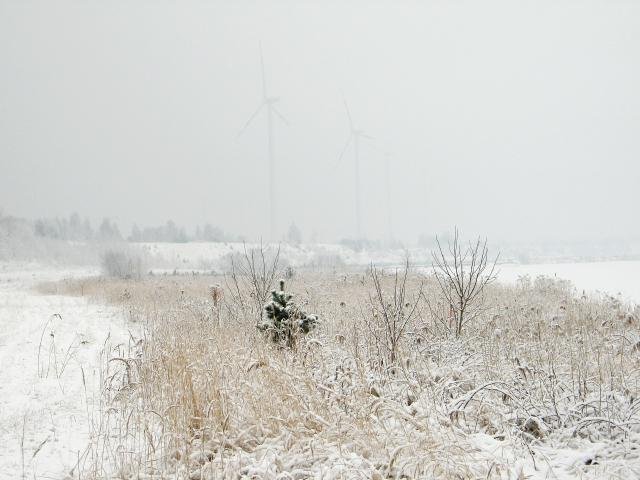 Winter in Burg 2005/06